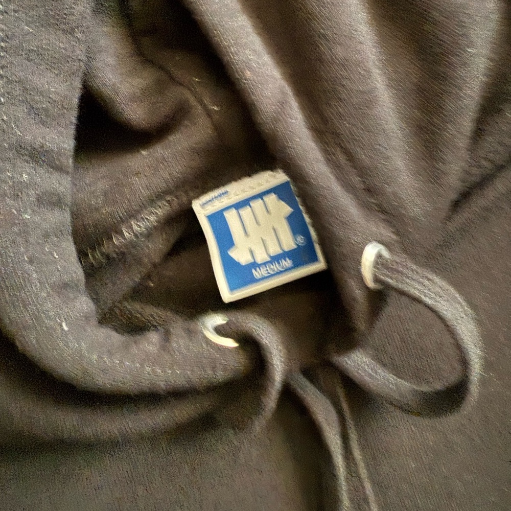 Undefeated Icon Hoodie - Picture 2 of 3